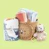 Animal Kingdom Nursery Room Collection - Cloud Island™ -Cloud Island Shop GUEST 4a6a7534 4798 4fba 8520 2ab1327cd044