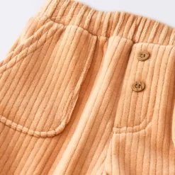 Baby Boys' 2pc Fox Sweatshirt & Corduroy Pants Set - Cloud Island™ Navy Blue -Cloud Island Shop GUEST 7d0b53b1 b30a 4baf a600 eccf517e4a3e