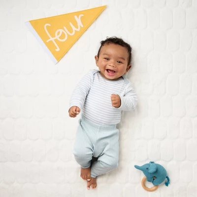 Milestone Felt Pennants - Multi Color - Cloud Island™ 4 Milestone Felt Pennants - Multi Color - Cloud Island™ -Cloud Island Shop GUEST d03bb6cc c2a2 41b9 ae0c cc3b214420c2